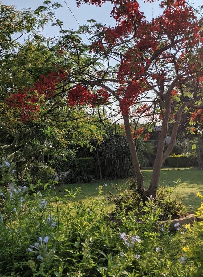 The Residence Villa Chobe Касане Экстерьер фото